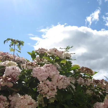 B&B Philmar House 3*