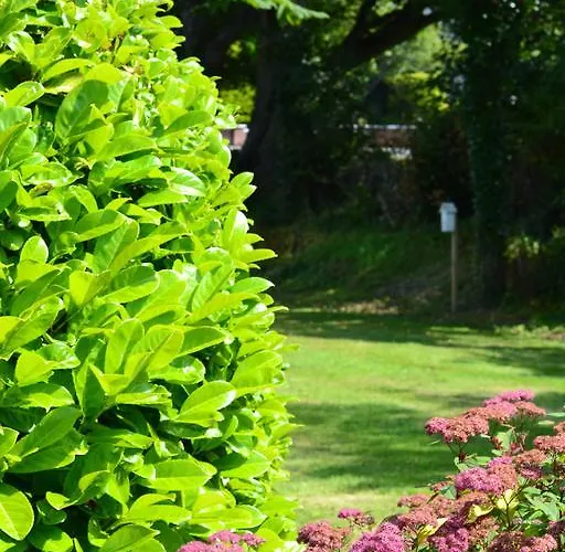 Philmar House 3* סליגו