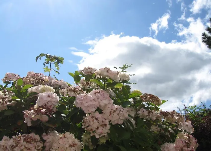 לינה וארוחת בוקר Philmar House 3*